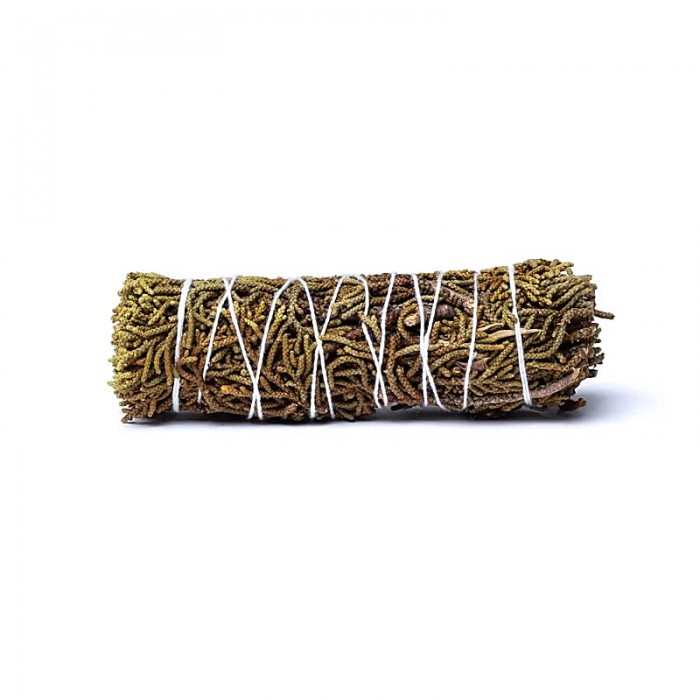 Αγριοκυπάρισσο (Άρκευθος) - Juniper 10cm Σαμανικά Βότανα Θυμιάματα